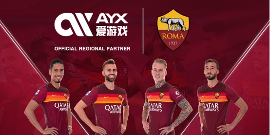 球迷和公众